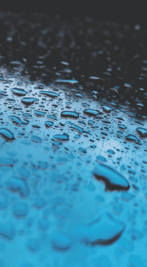 water on sunroof