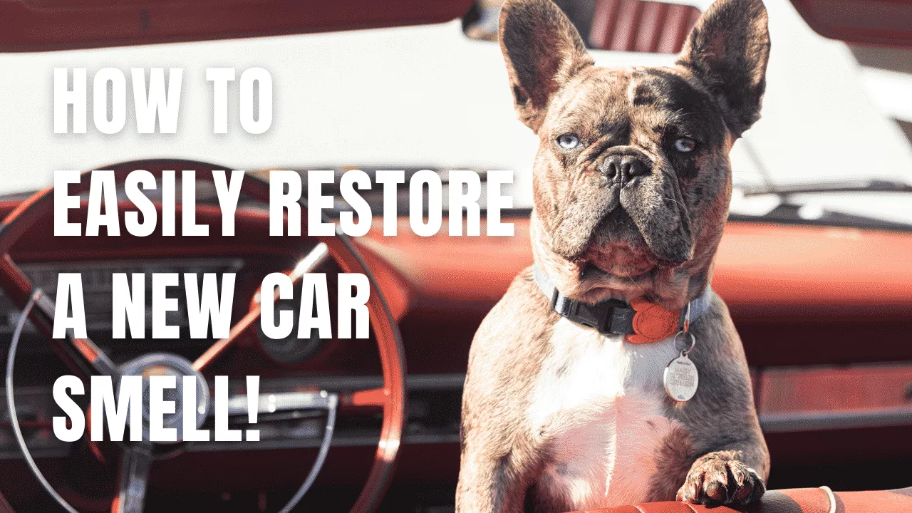 Car Odor Eliminator | How To Easily Restore a New Car Smell!