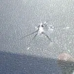 star rock chip before close up