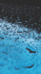 » How Much Does It Cost To Replace or Repair A Sunroof?