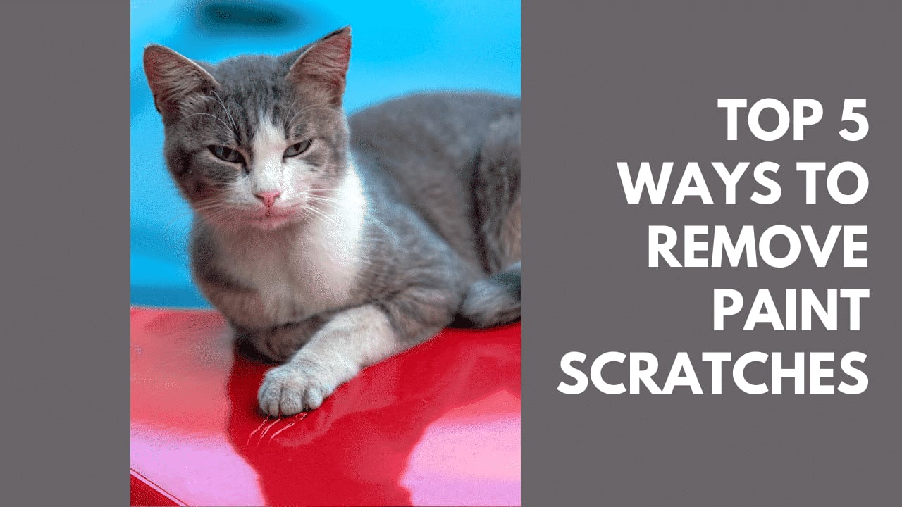 Top 5 Ways To Remove Car Paint Scratches